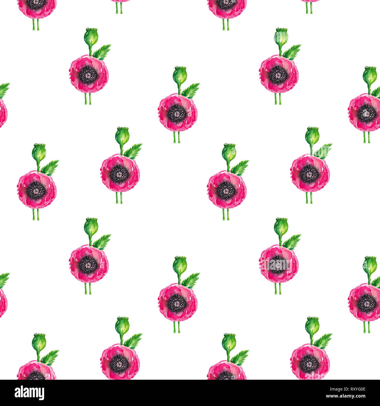 Watercolor illustration of red flowering poppies stem green leaves ...