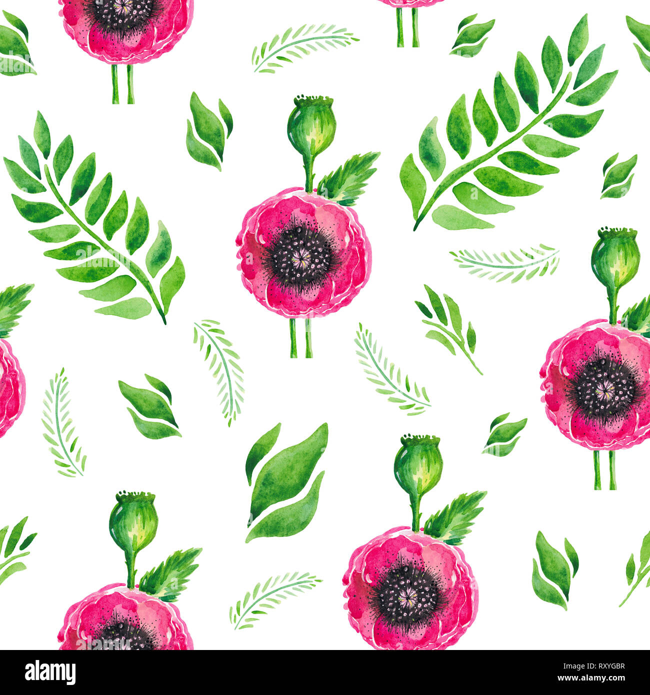 Watercolor illustration of red flowering poppies stem green leaves ...