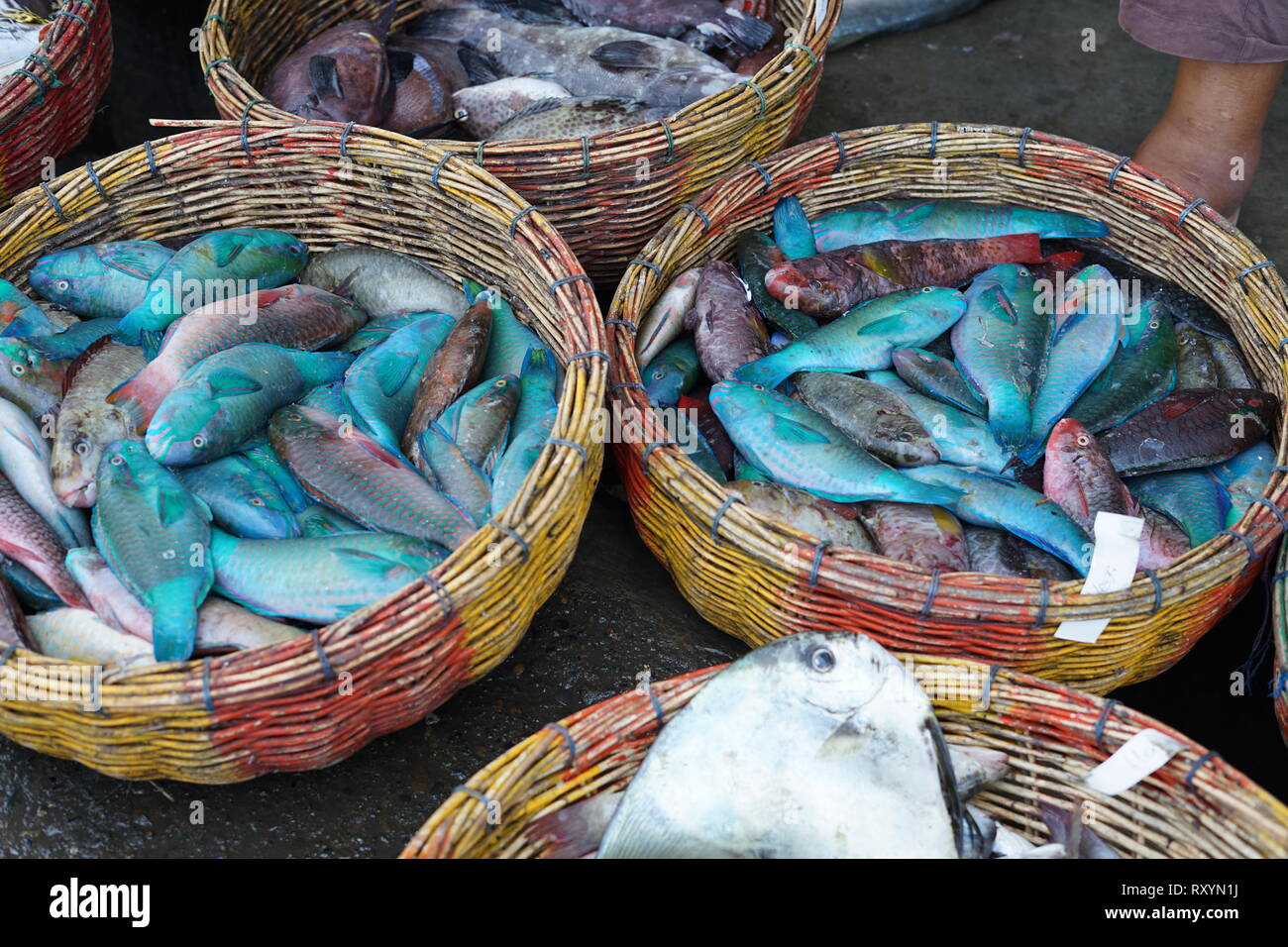 Fresh parrot fish in a wicker basket for sale at seafood market Stock Photo