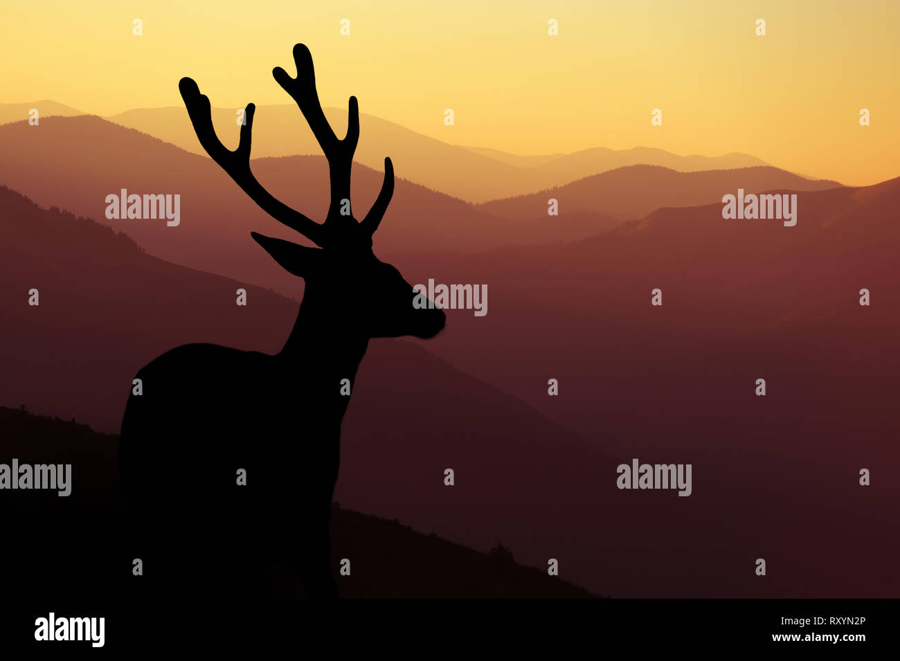 Wilderness landscape with deer silhouette on mountains background Stock