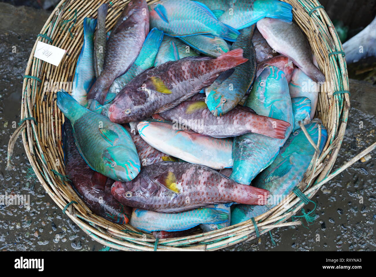Fresh parrot fish in a wicker basket for sale at seafood market Stock Photo