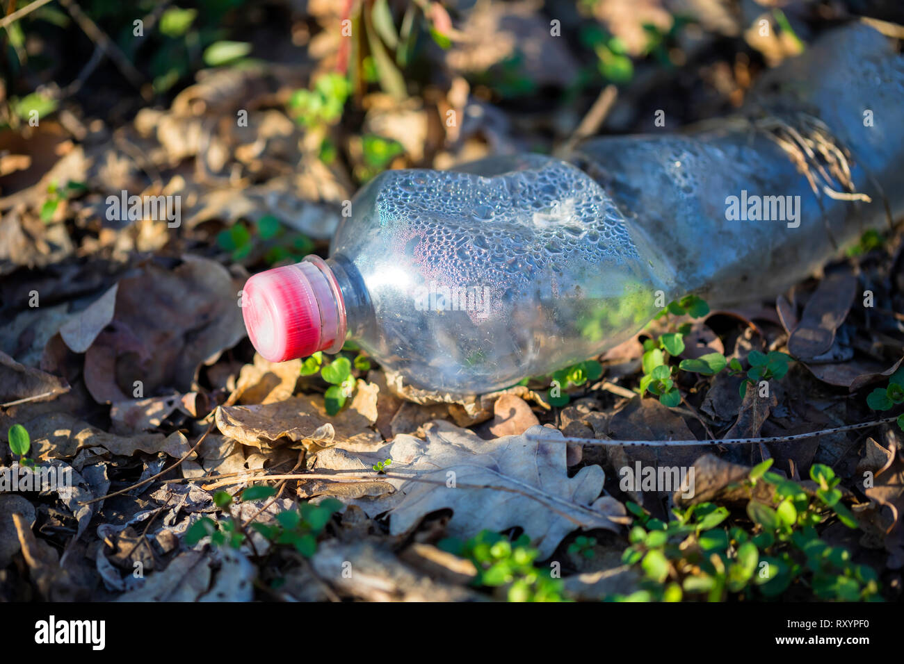 Forgotten plastic garbage lies on the ground Stock Photo