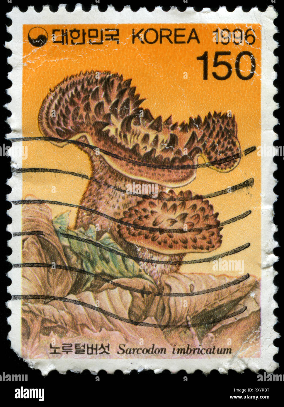 Postage stamp from South Korea in the Mushrooms series issued in 1996 Stock Photo
