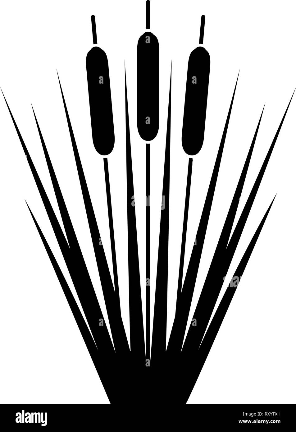 Reed Bulrush Reeds Club-rush ling Cane rush icon black color vector illustration flat style simple image Stock Vector