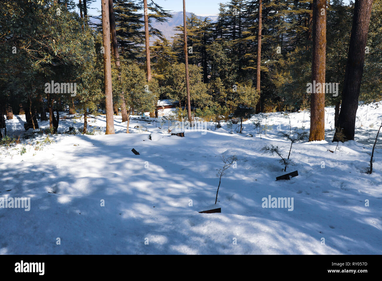 Winter snow covered mountain peaks in India. Stock Photo