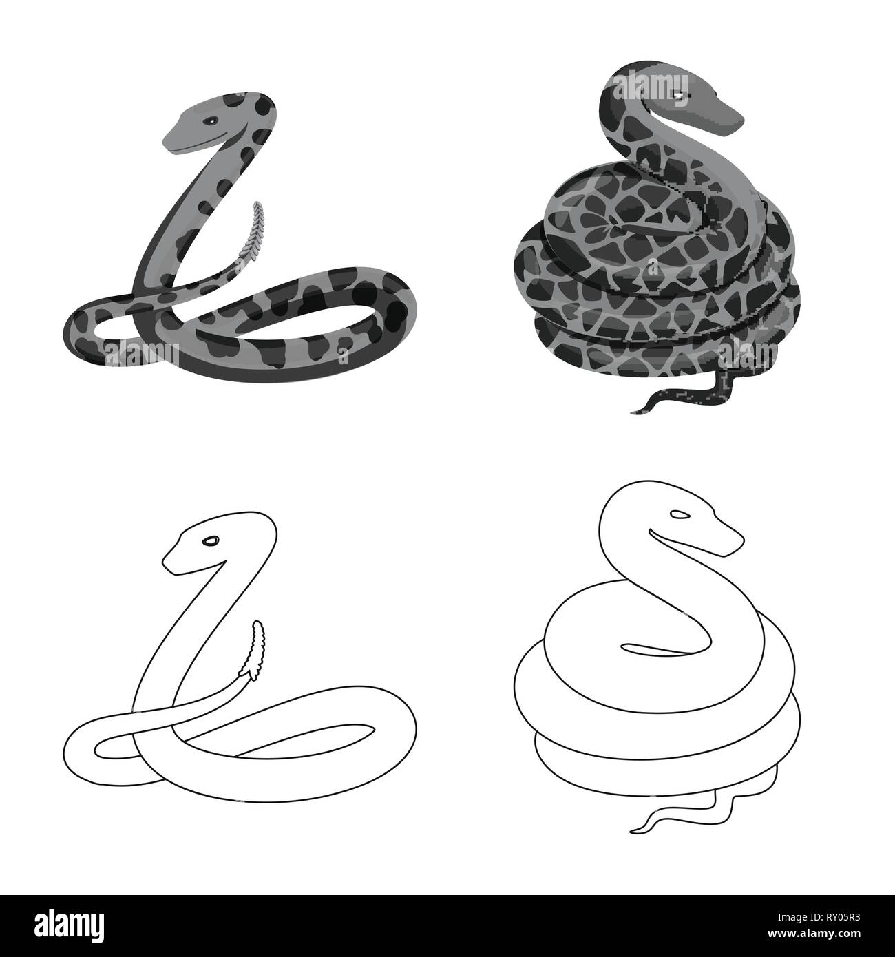 snake,python,animal,green,jungle,forest,anaconda,tail,spiral,mammal ...
