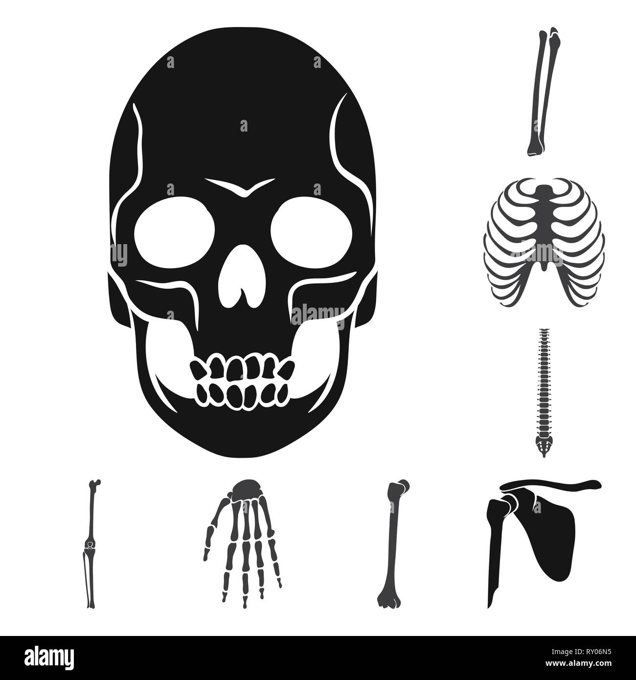 skull,femur,rib,knee,wrist,death,cage,spine,joint,hand,broken,pelvis ...