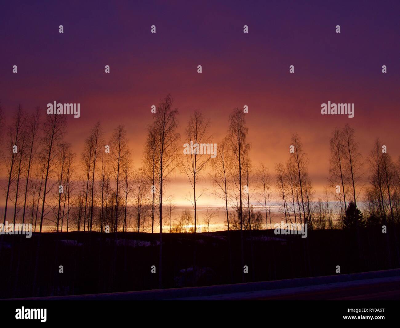 Pink winter christmas scene hi-res stock photography and images - Alamy