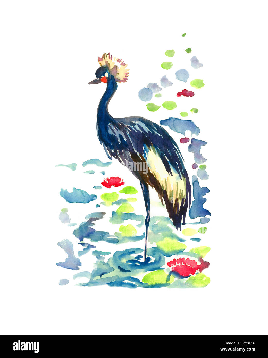 Black crowned crane (Balearica pavonina) standing in pond with pink lotus, isolated hand painted watercolor illustration Stock Photo