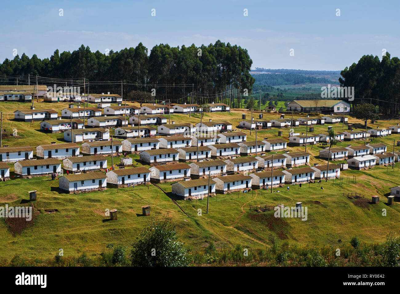 Kenya, Kericho county, Kericho, tea picker village Stock Photo