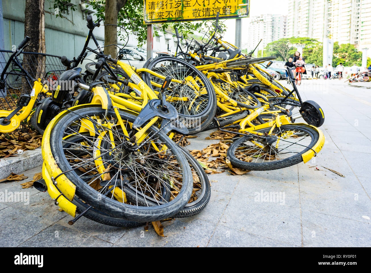 ofo locations