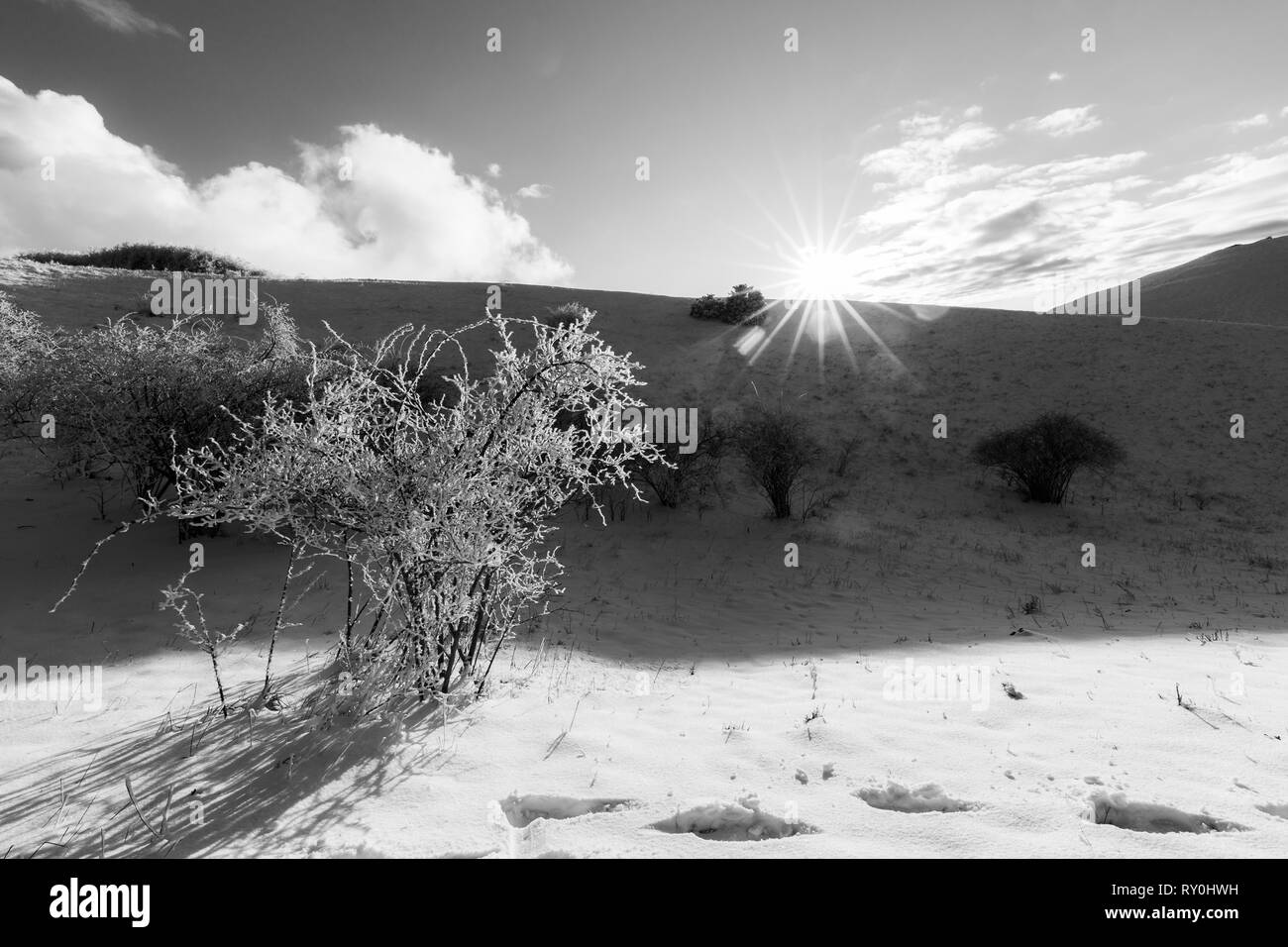 Subasio mountain (Umbria, Italy) in winter, covered by snow, with plants and sun Stock Photo