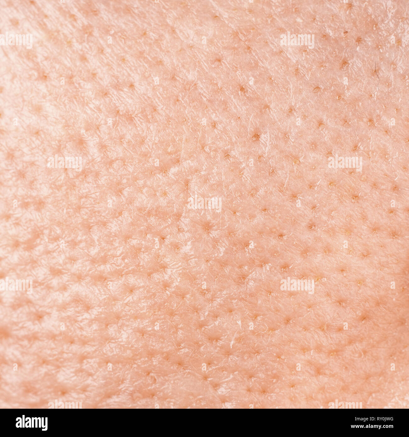 Pores skin hi-res stock photography and images - Alamy