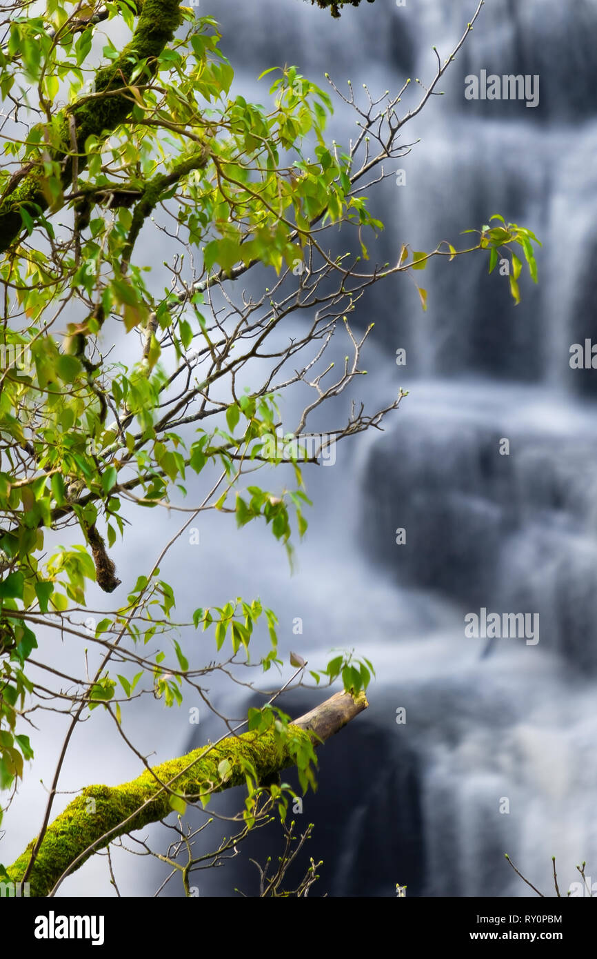 Corra Linn Falls at the Falls of Clyde New Lanark. An image of New Lanark with the lower falls in spate. Use of  a 10 times Neutral Density Filter. Stock Photo