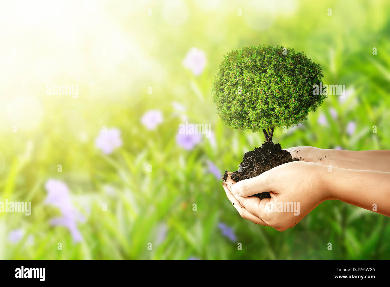Human hands holding fertile soil with young tree over green park