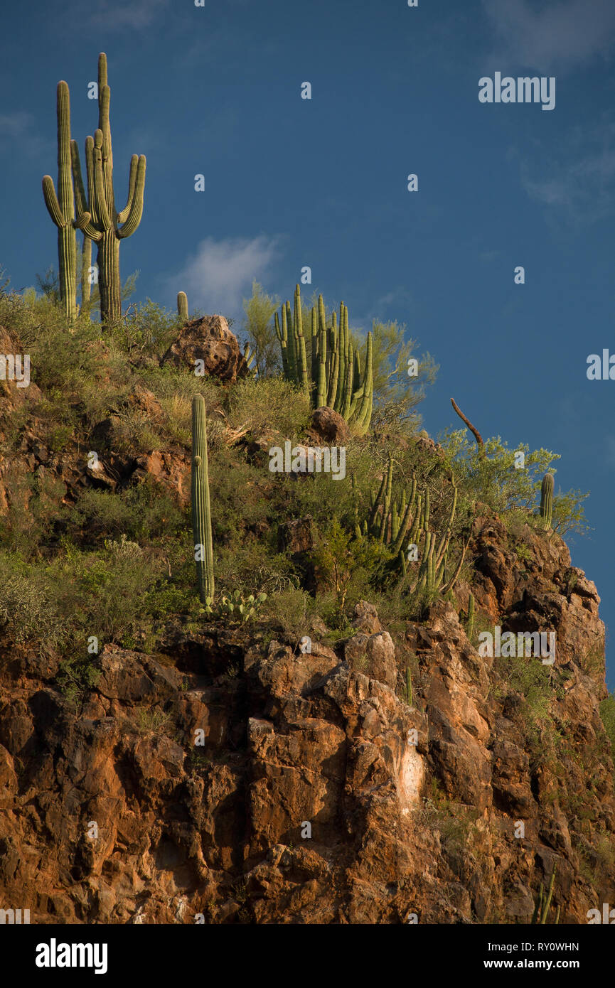 Magdalena de Kino, Mpo. Magdalena, Sonora, Mexico Stock Photo Alamy