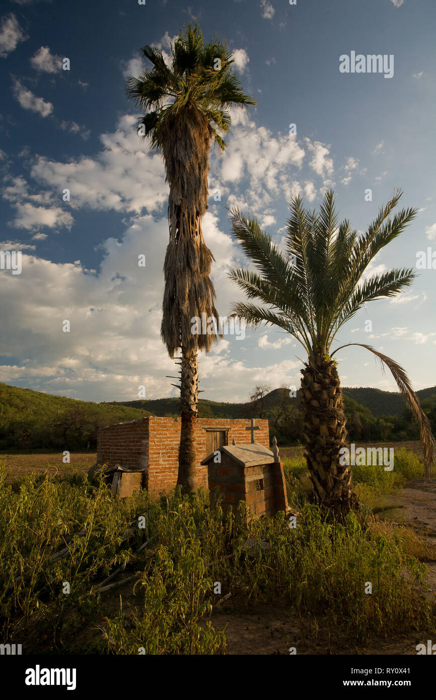 Magdalena de Kino, Mpo. Magdalena, Sonora, Mexico Stock Photo Alamy