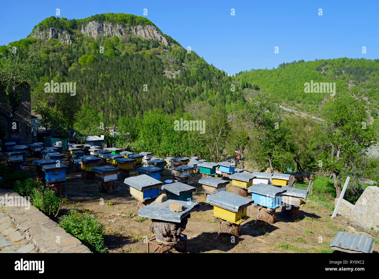 Beekeeping, Dardha, ski area, Gramoz mountains, County Korce, Albania, Korça Stock Photo