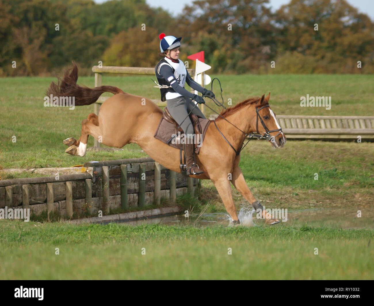 Horse on the cross country course Stock Photo - Alamy