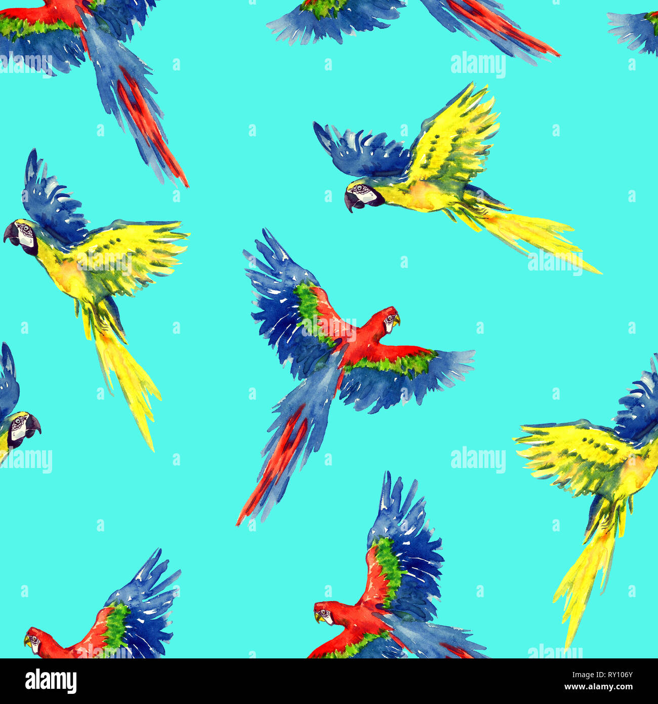 Blue and yellow and Scarlet macaw flying, seamless pattern design, hand painted watercolor illustration, green background Stock Photo