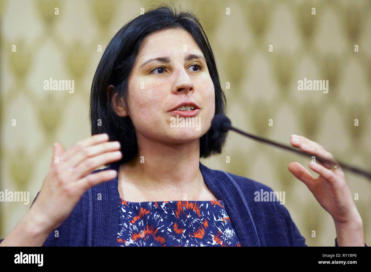 London, UK. 11th Mar, 2019. Liberal Democrat Women celebrated International Womens Day at the Lady Violet Bonham-Carter Room at the National Liberal Club. Present were Caroline Pidgeon, Baroness Lynne Featherstone, Siobhan Benita, Layla Moran, Anood Al-Samerai, Jo Swinton. Credit: Peter Hogan/Alamy Live News Stock Photo