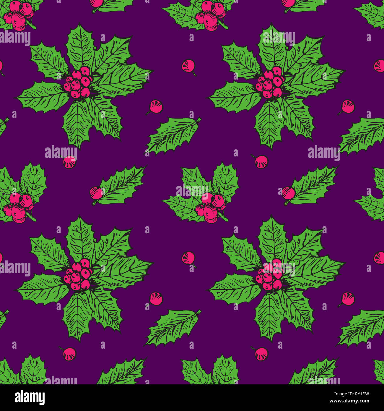 Holly leaves and berries, hand drawn doodle sketch color illustration ...