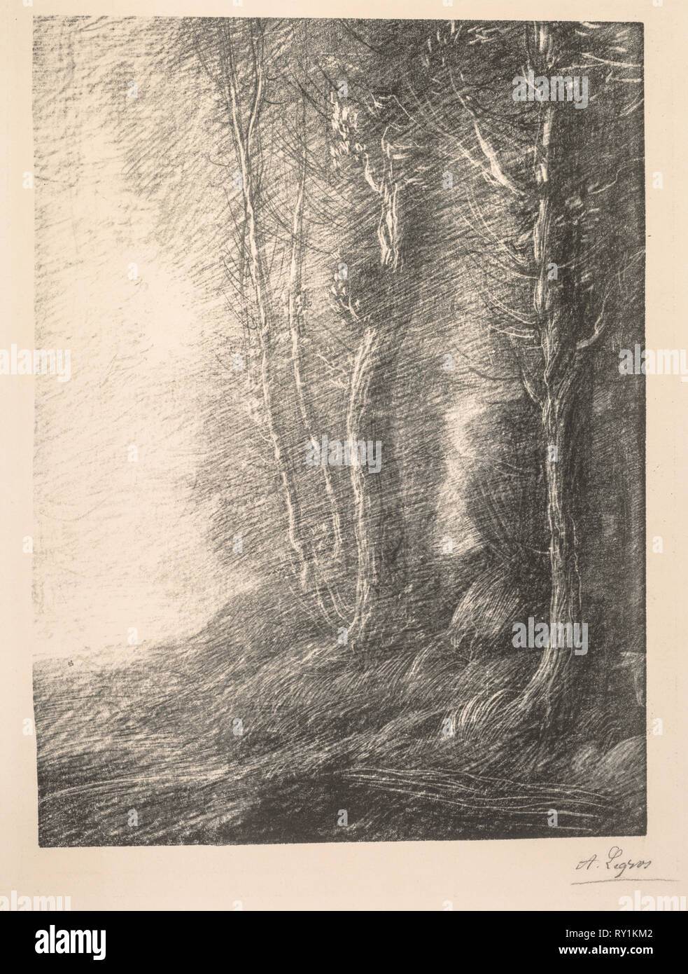 Landscape (Paysage). Alphonse Legros (French, 1837-1911). Etching Stock Photo