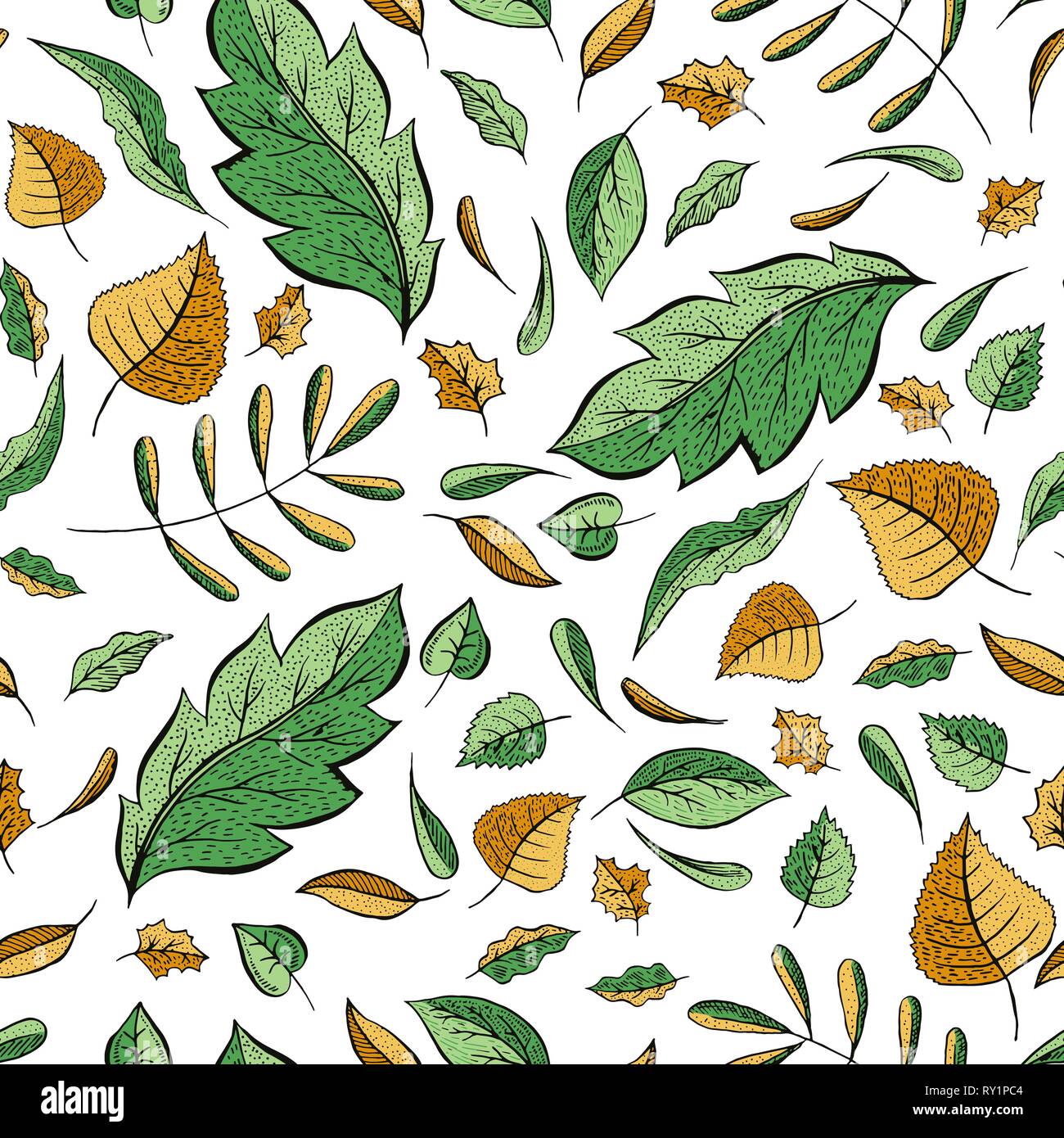 Autumn leaves hand drawn color seamless pattern. Oak, birch, walnut trees foliage vector illustration. Fresh green, autumnal yellow doodle leafage. Botanical wallpaper, textile, wrapping paper design Stock Vector