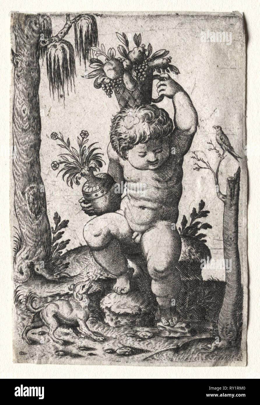 Boy with Fruit Basket, 1500s or 1600s. Italy, 16th or 17th century. Engraving Stock Photo