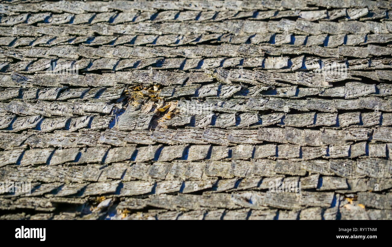 The Wooden Shake Shingles On The Roof The Black Shingles On The