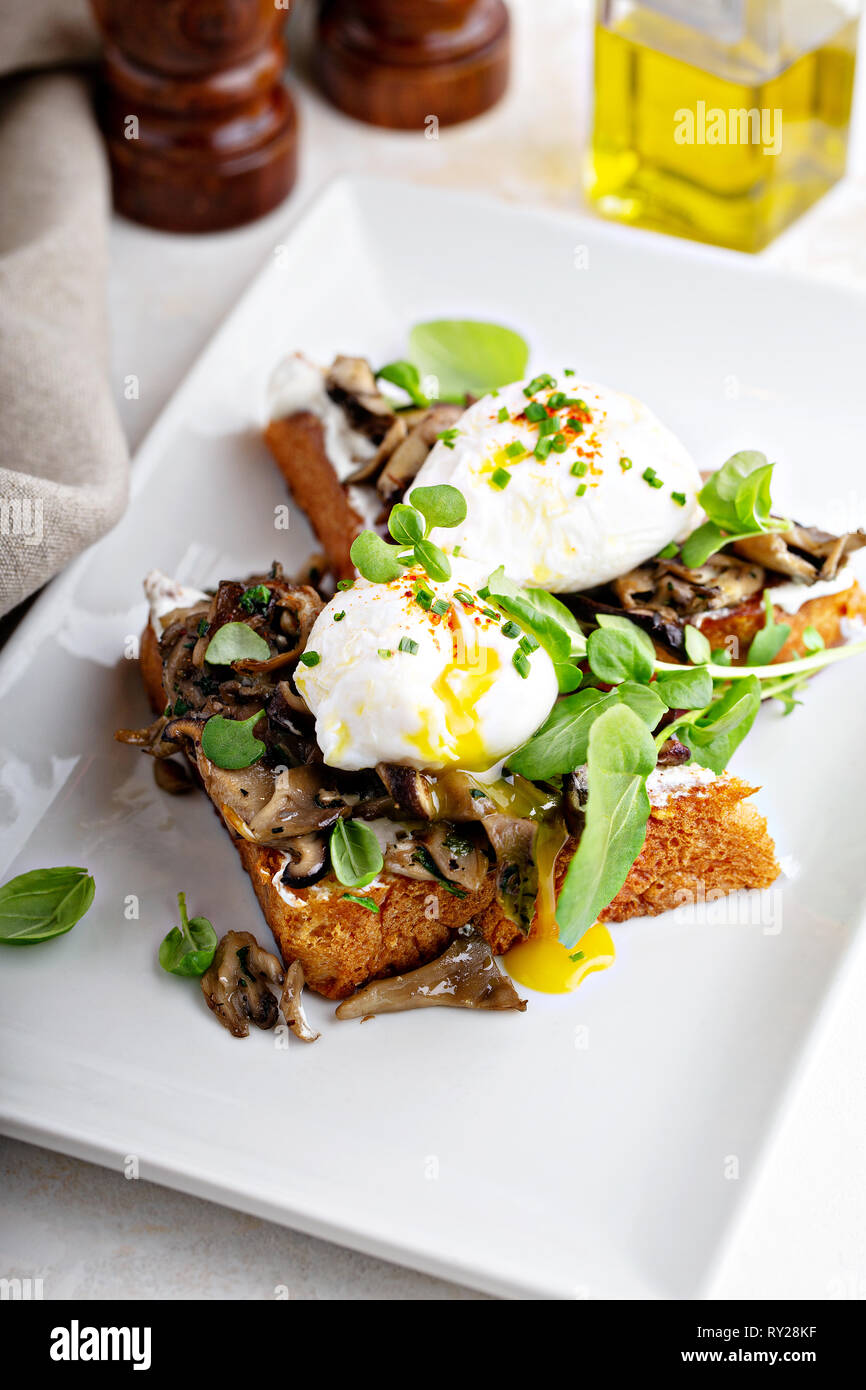 Breakfast toast with mushrooms and poached eggs Stock Photo Alamy