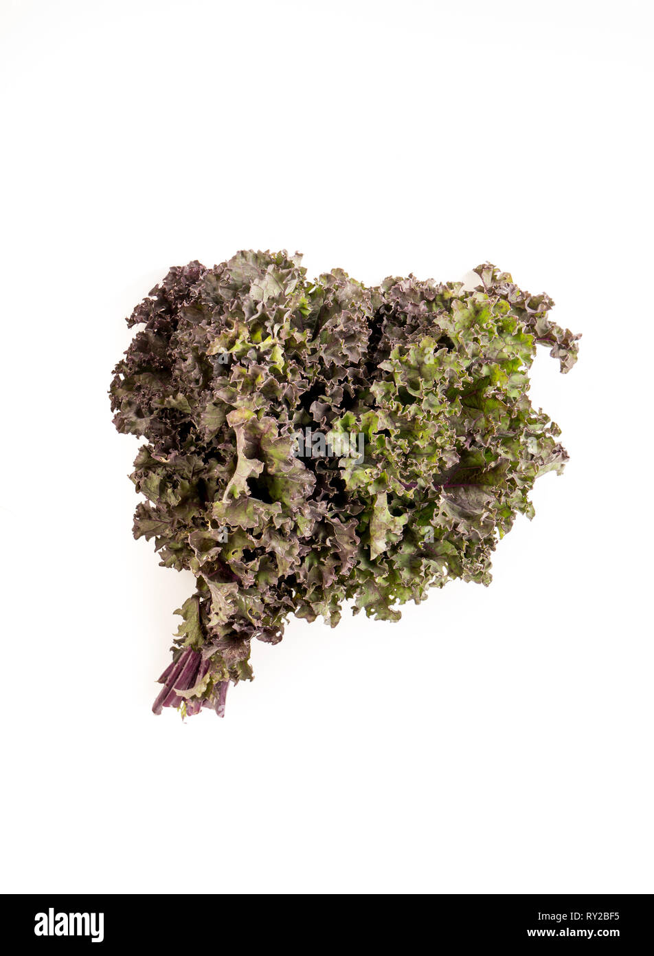 Organic red green kale, isolated on white background Stock Photo