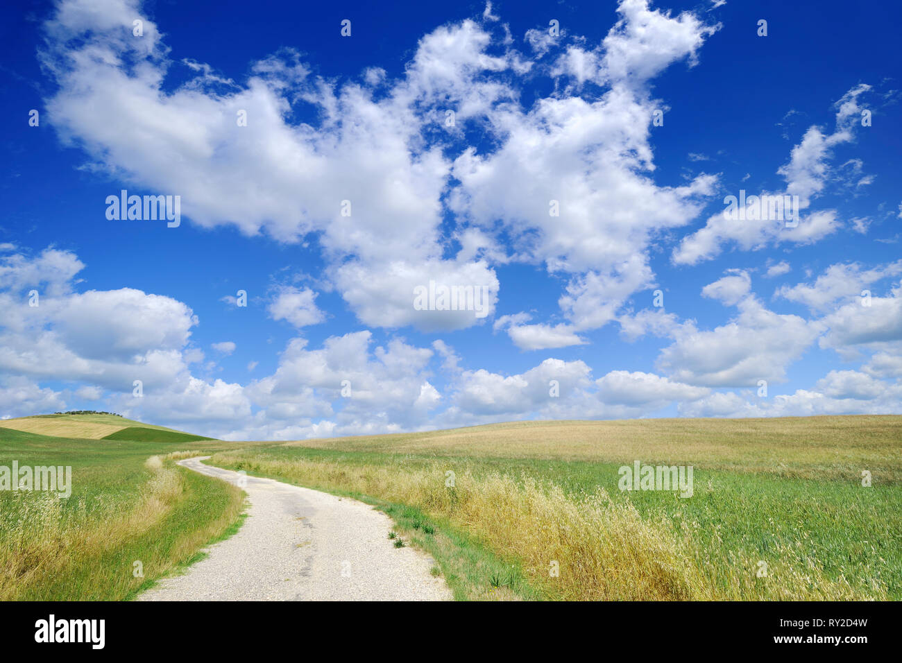 Landscape, dirty road among green fields, blue sky and white clouds in ...