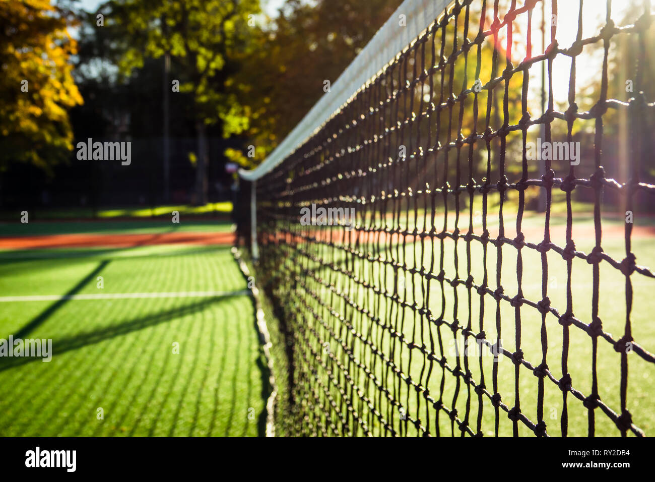 Closeup of a Tennis Net With the Grass Cours in the Background on a Sunny  Morning Stock Photo - Alamy