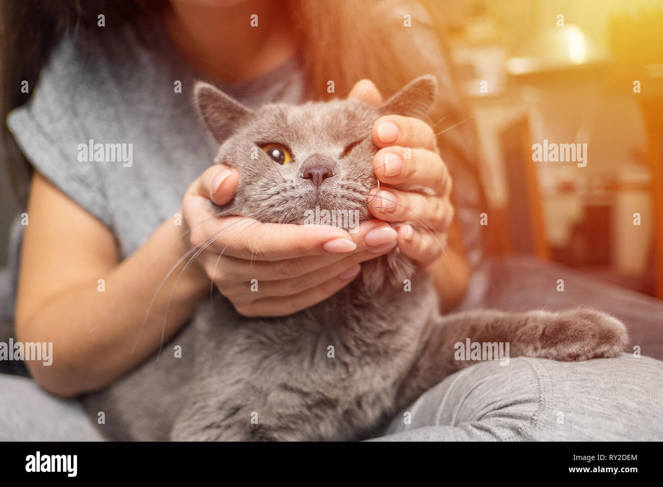 Девушка гладит кота