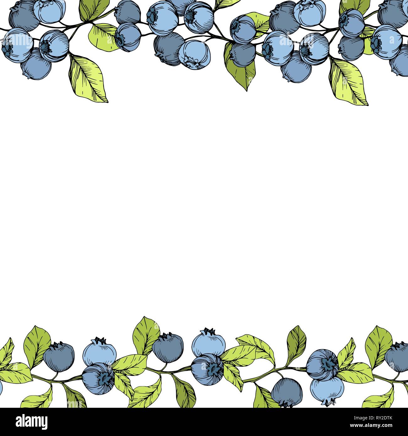 Blueberry Border Clipart
