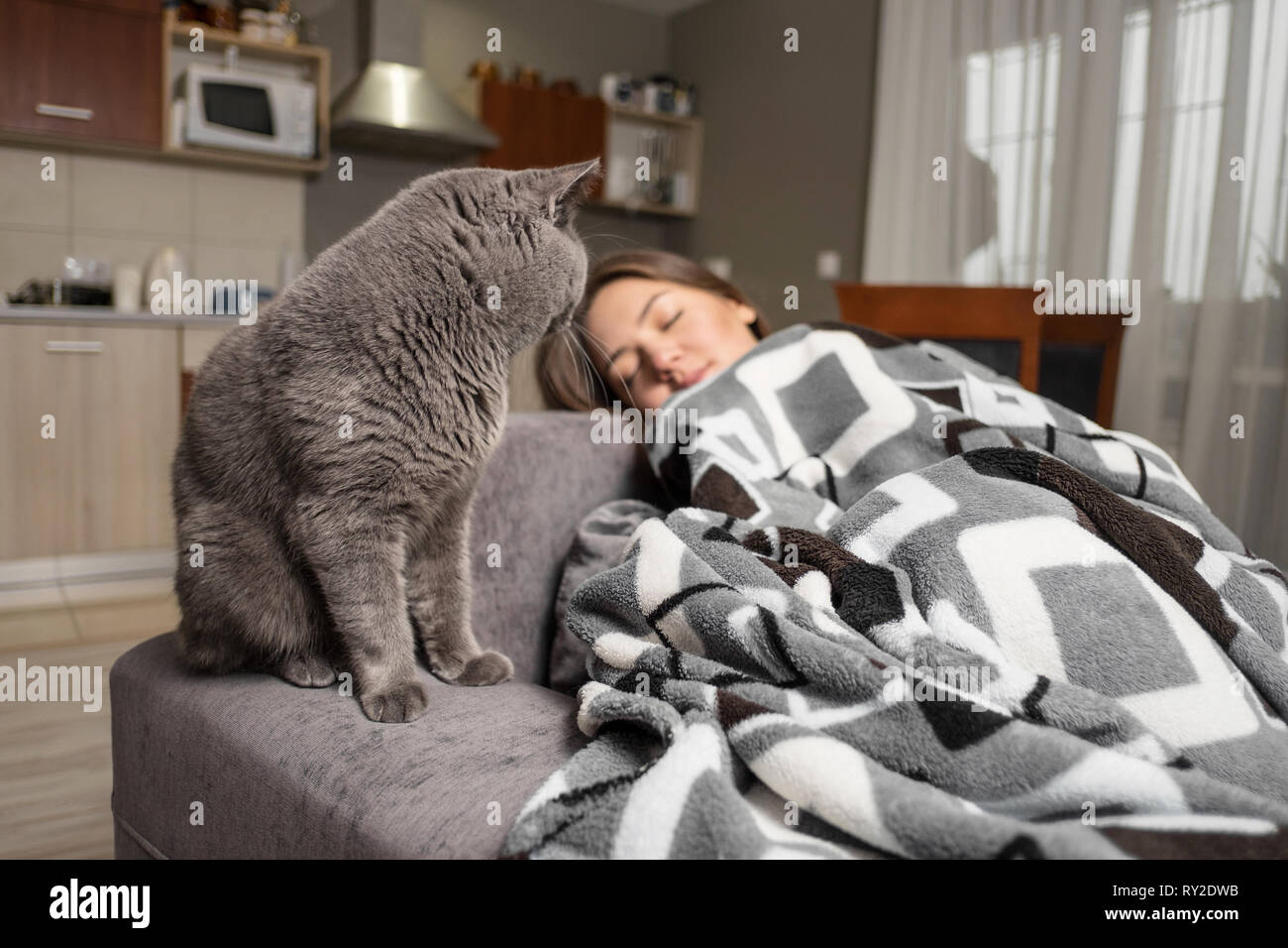 young woman sleeping with her cat, cat is waiting when girl wake up and