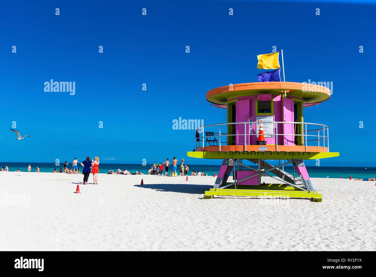 bei THEMENBILD Florida, 08.02.2017 Bildnachweis: Mario Hommes / HH-Photography Stock Photo