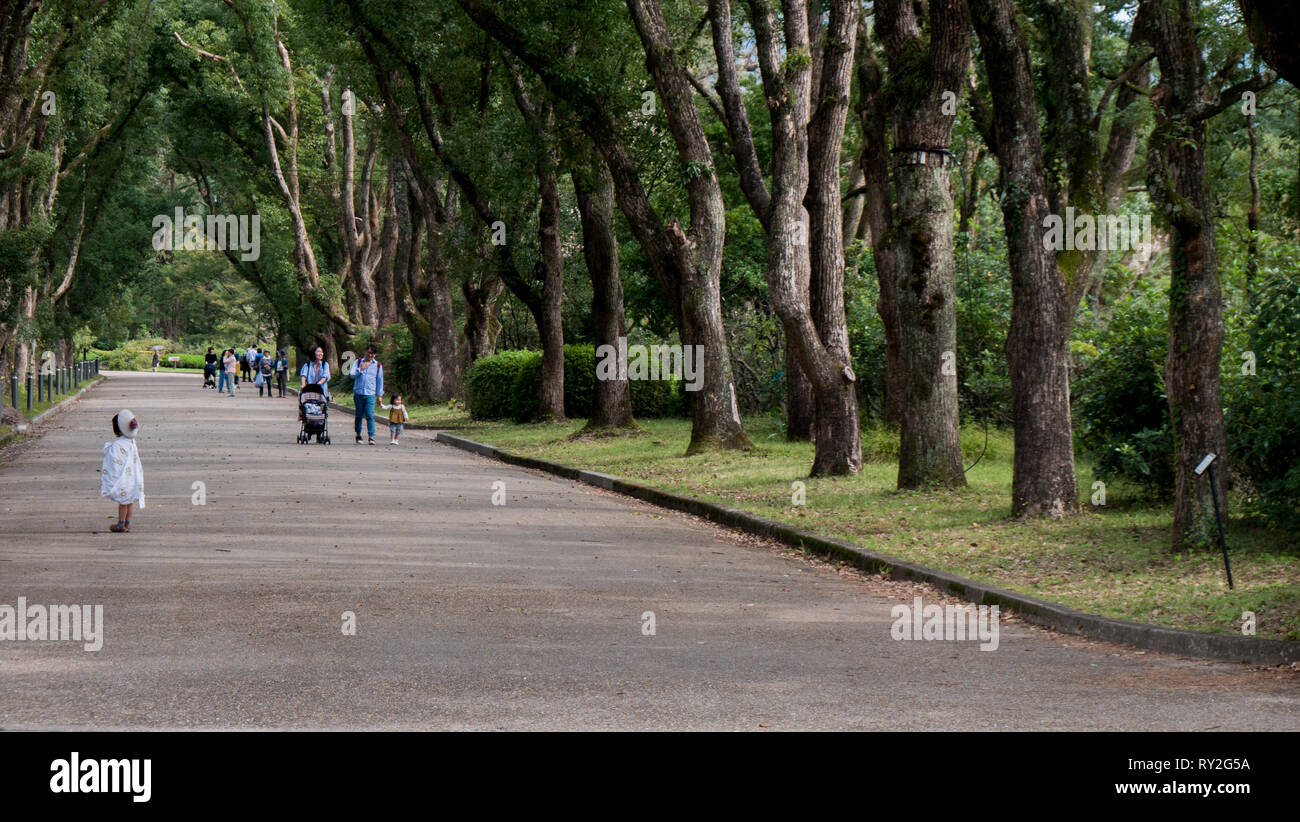 a small Japanese child waits on a path that runs the center of a tree lined park in Kyoto, Japan. Stock Photo
