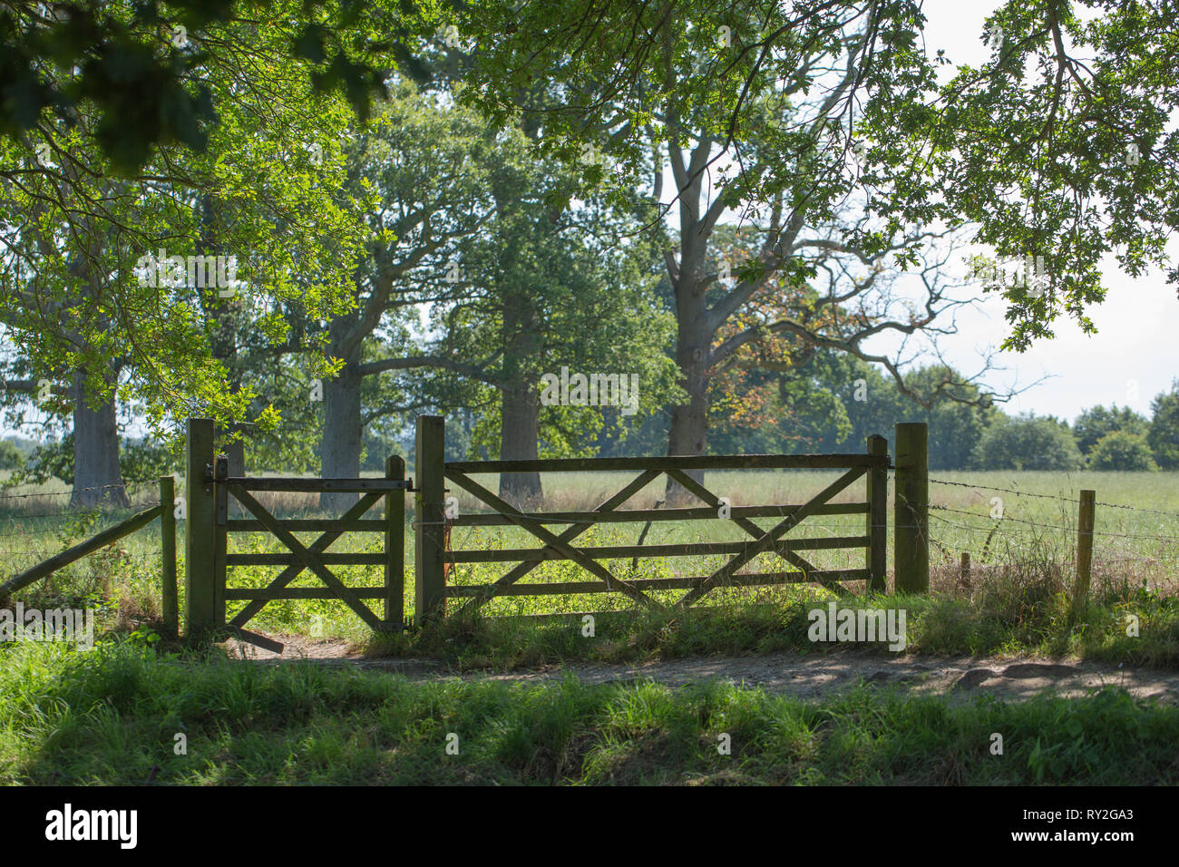 Gates at the entrance to fields. Countryside. Rural Norfolk. Spring. Summer. Trees, grassland, pasture. footpath timber gate alongside a field gate. Stock Photo