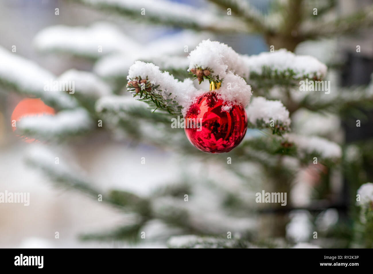 Rote Christbauemkuegel an einem Tannenzweig beim Symbolfoto Weihnachtsmarkt, 10.12.2017 Bildnachweis: Mario Hommes / HH-Photography Stock Photo