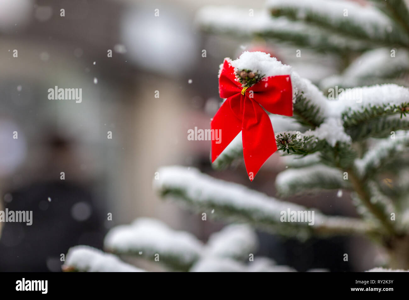 Rote Schleife an einem Christbauem beim Symbolfoto Weihnachtsmarkt, 10.12.2017 Bildnachweis: Mario Hommes / HH-Photography Stock Photo