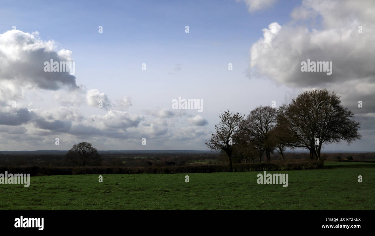 Field outside Egerton near Ashford, Kent, United Kingdom Stock Photo