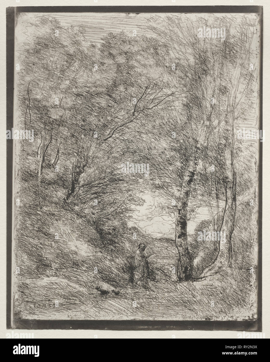 momotarō japanese denim