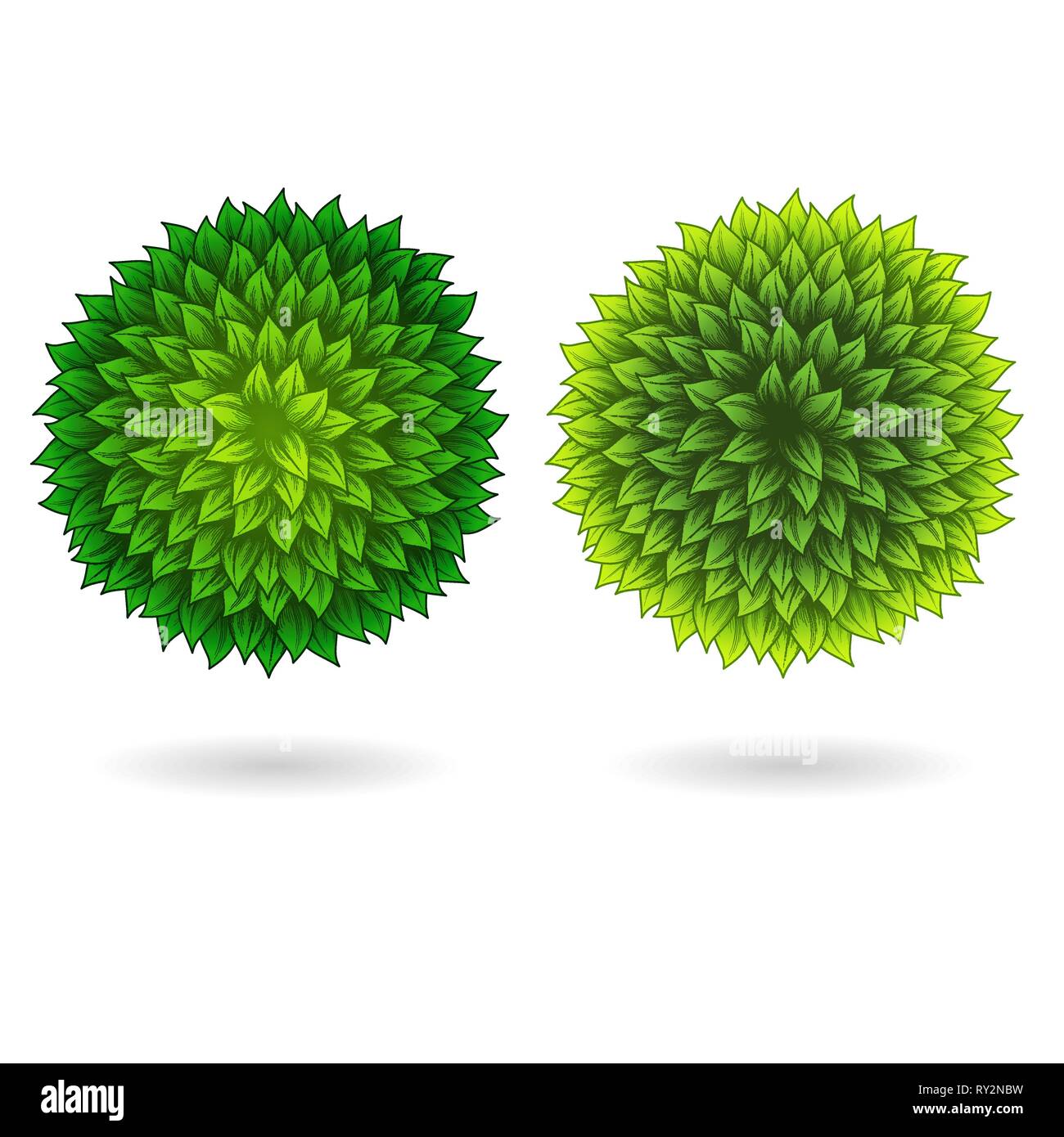 Two full leaves circle frames with shadows isolated on white background Stock Vector