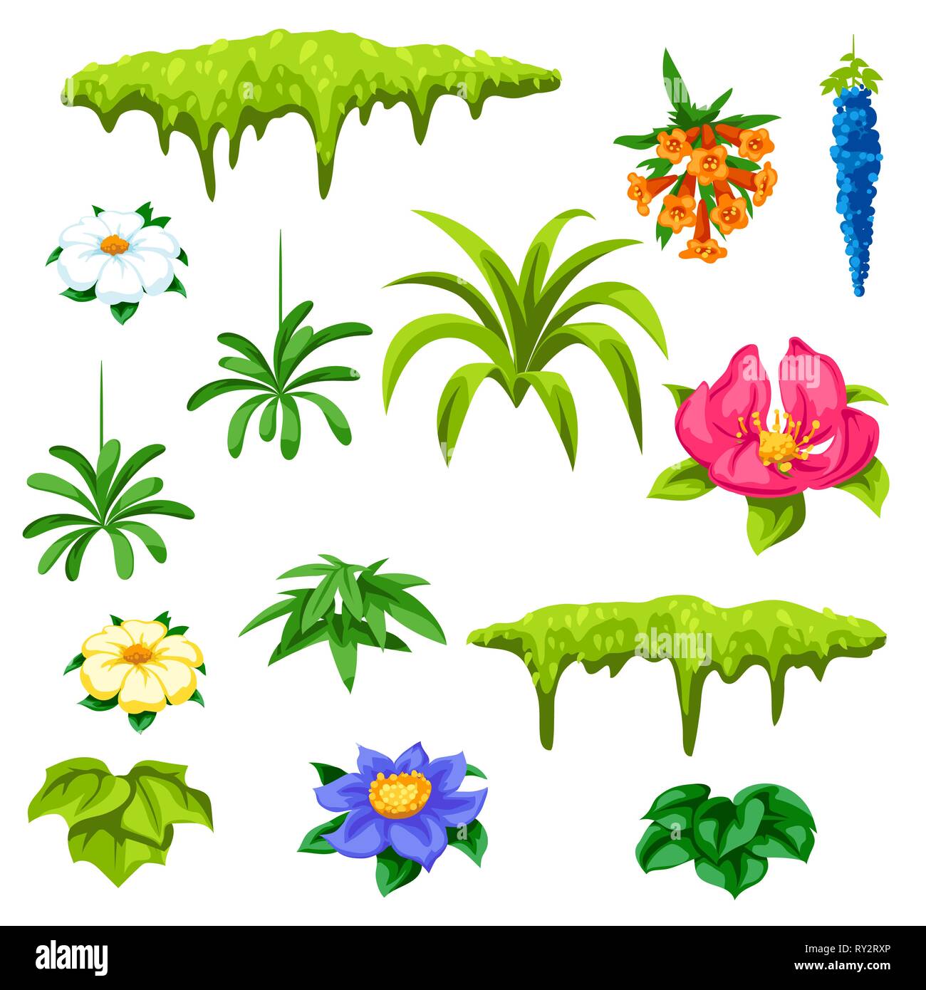 Set of tropical flowers. Exotic tropical plants Stock Vector Image ...