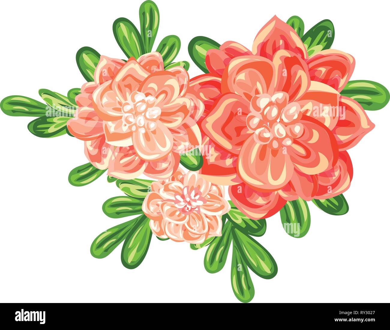 Page 2 Camellia Collection High Resolution Stock Photography And Images Alamy