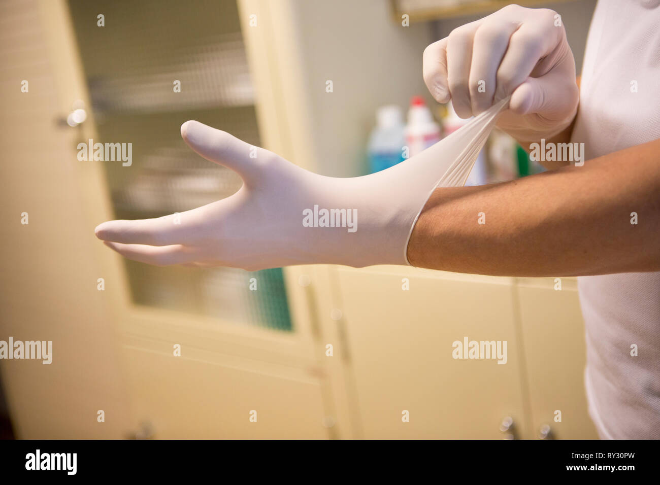 Protective latex gloves being put on in a healthcare environment Stock Photo