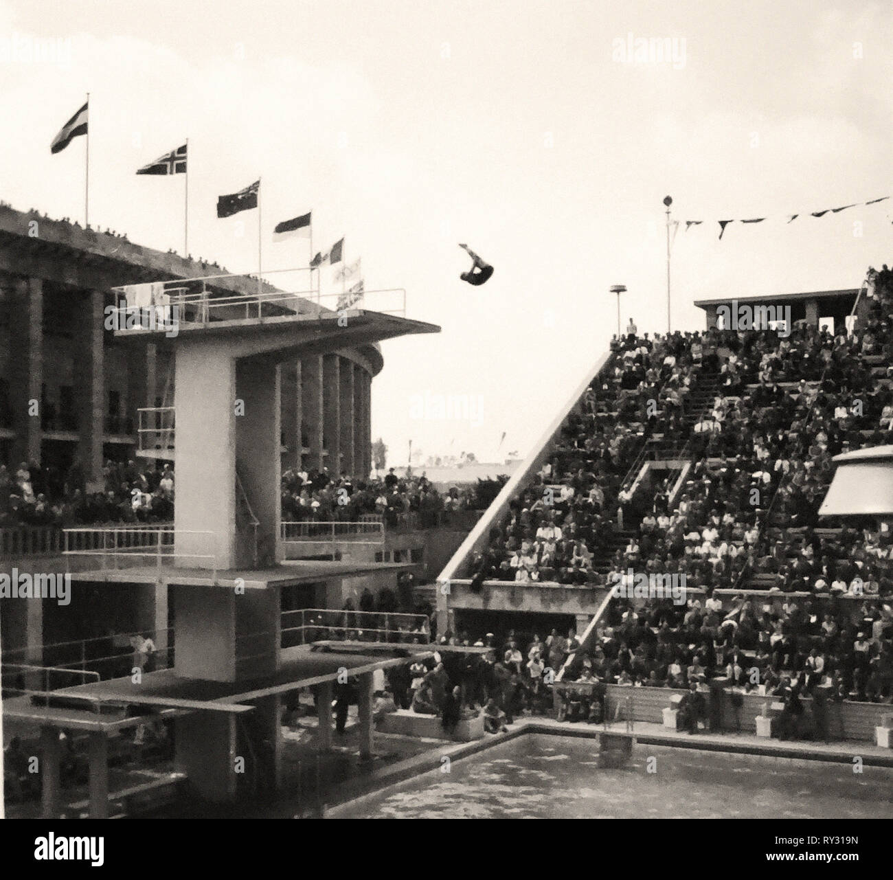 1936 Olympic Games Berlin Mens Diving Competition at the 1936 Summer