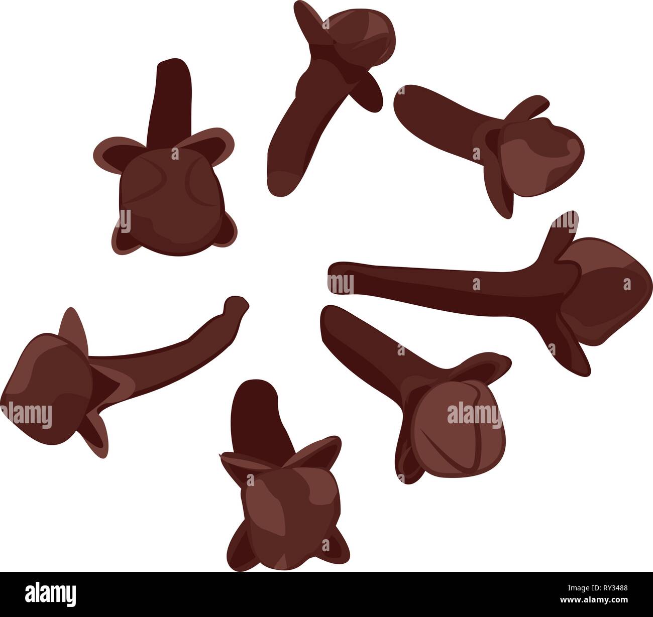 Cloves on a white background vector illustration isolated Stock Vector